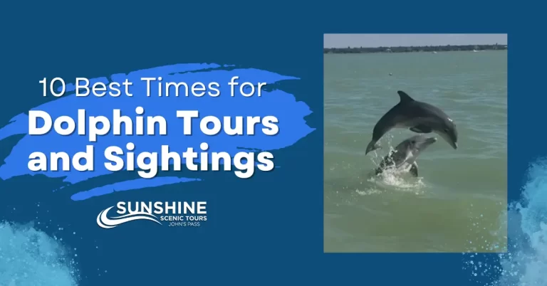 10 Best Times for Dolphin Tours and Sightings
