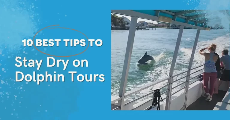 10 Best Tips to Stay Dry on Dolphin Tours