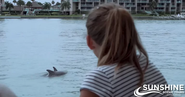 A girl watches a dolphin swimming | SST