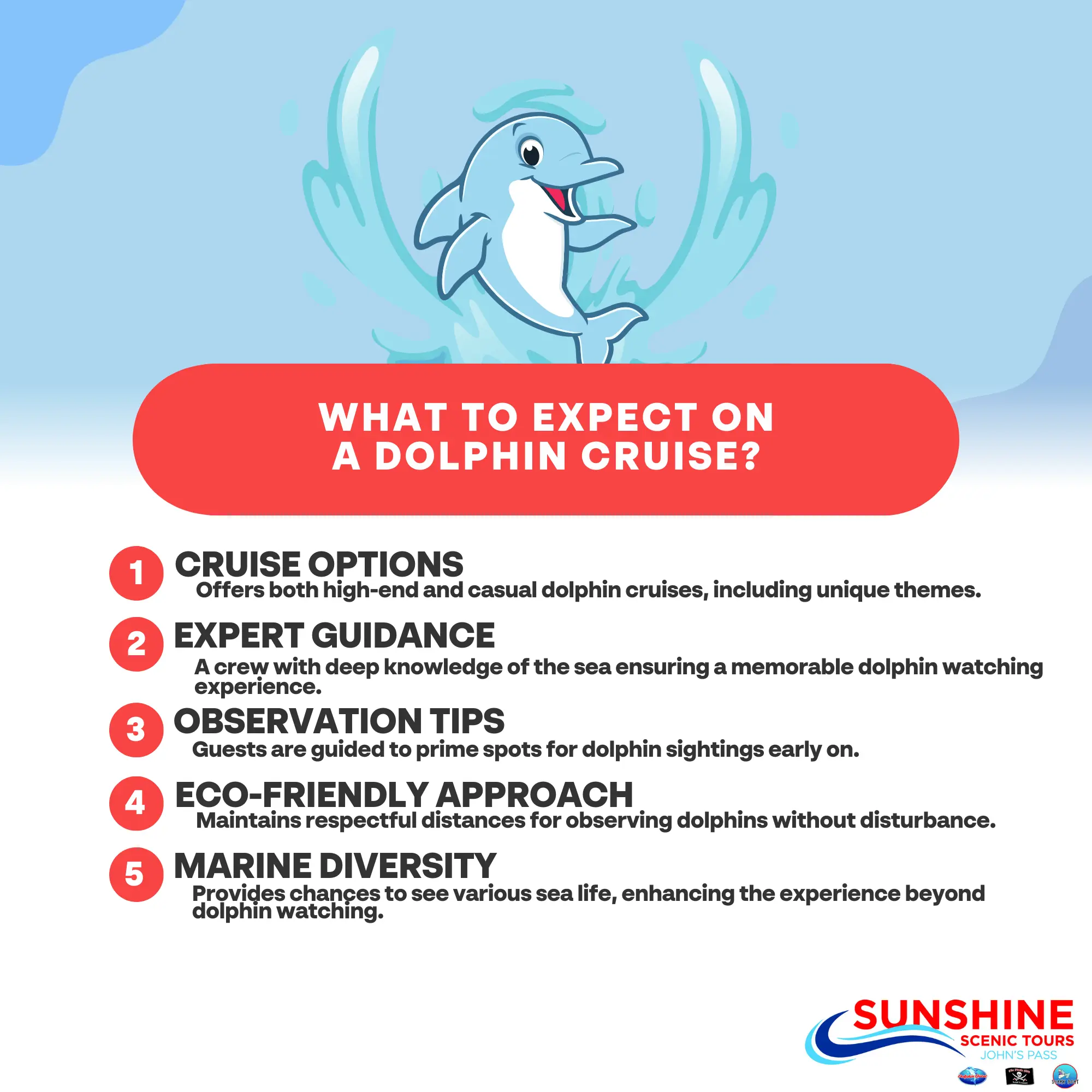 What to Expect on a Dolphin Cruise | SST