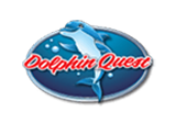 Dolphin Quest Logo