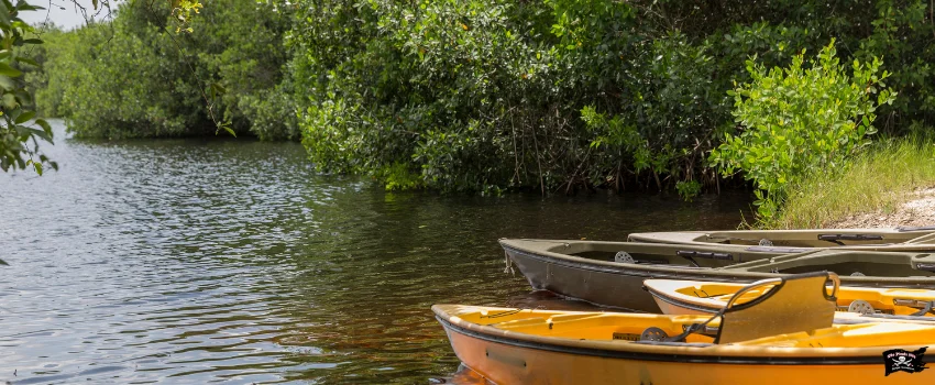 SST-Two Kayaks in the Everglades National Park
