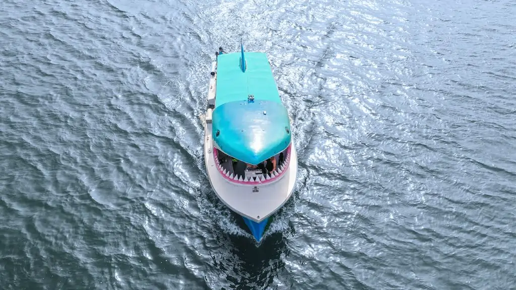 Shark Boat