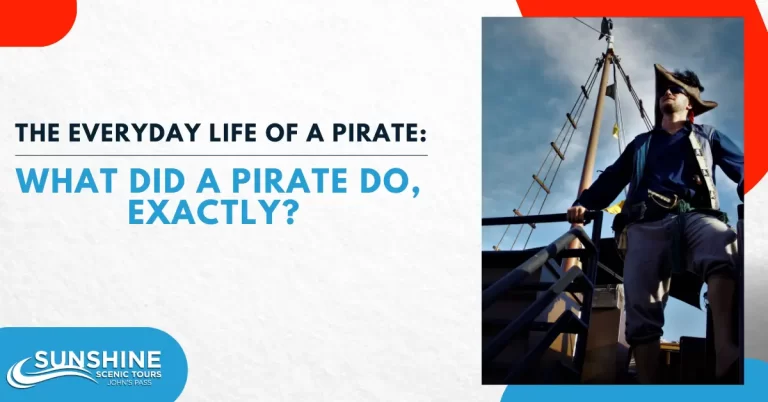 The Everyday Life of a Pirate What Did a Pirate Do, Exactly