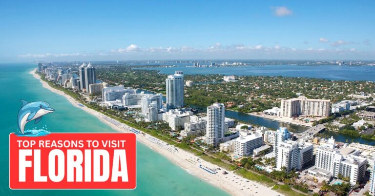 Top Reasons to Visit the Sunshine State