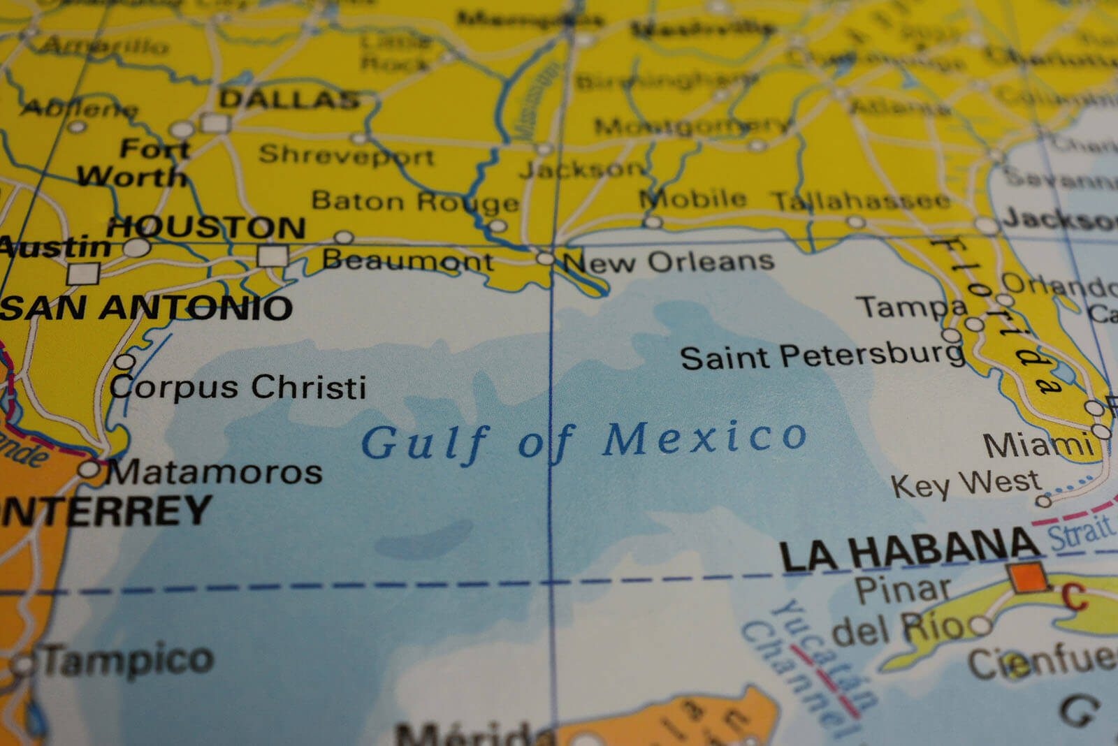 SST gulf of mexico map